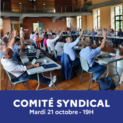  Comité syndical